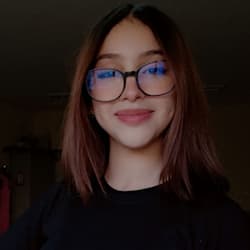 paypalpaypal158