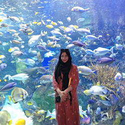 sahar_writeup