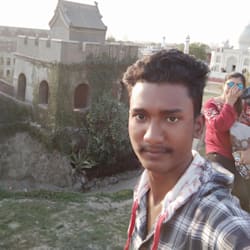 shibu_dolai