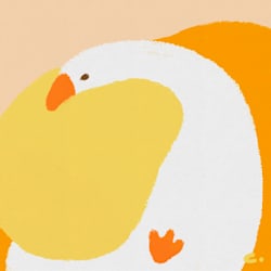 soleilc_color
