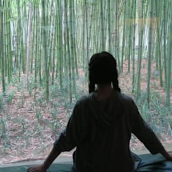 mengzhu1