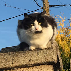 morgandanhier