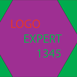 logoexpert1345