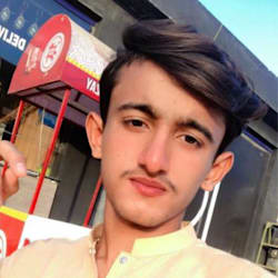mzainp