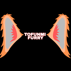 tofunmi_website