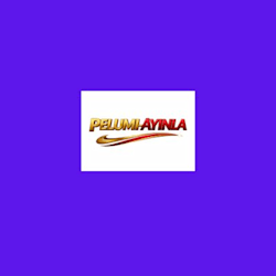 pelumi_ayinla