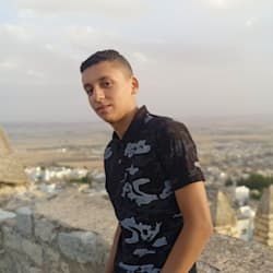saiefdinne