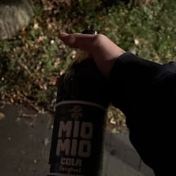 mikeschamber