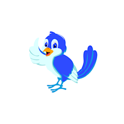 seoexpert129