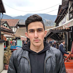 talibhamidovic