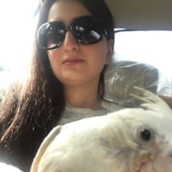 daniahassan