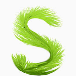 singh_shalini