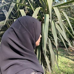 kashafmaqs00d