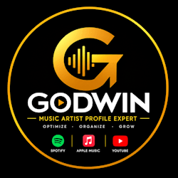 godwinaudit