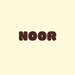 noor_ul_huda4