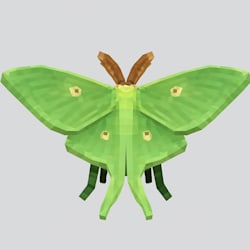 ayomde_o