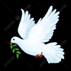 oluwaseun849