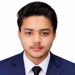 seo_optimizer88