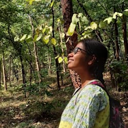 smrutidalai