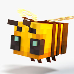 tomskidtom