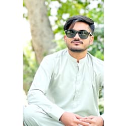 mazharramzan848