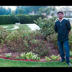 tahirsaeed319