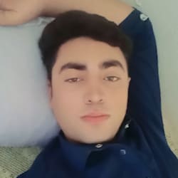 zeetypistpro