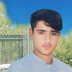 talhadanish96