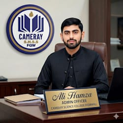 hamzajutt718