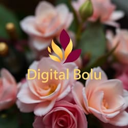 digital_bolu1