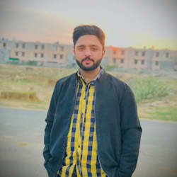 hamzamalik713