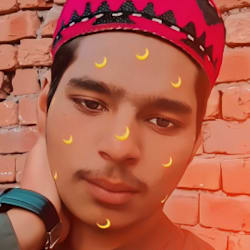 alisajidseo1234