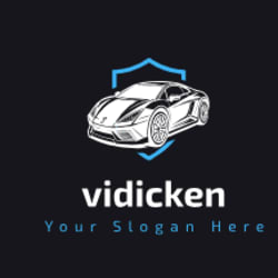 vidicken