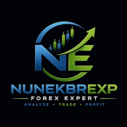 nunekbrexp