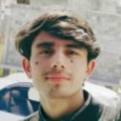 dilshadalishigr