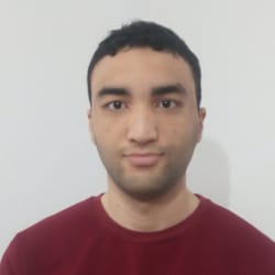 aminegamer293