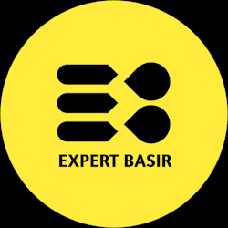 expert_basir