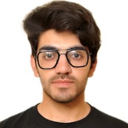 osamamanzoor784
