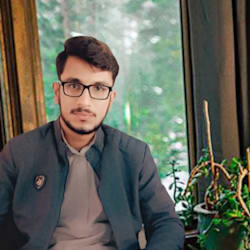 tauseef95