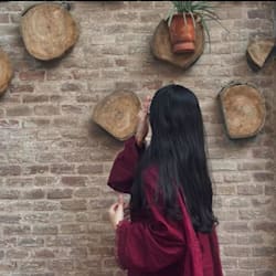 alishba_0821