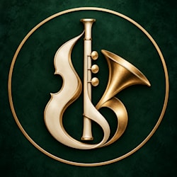 tim_playsinst