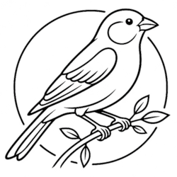 canary_projekt