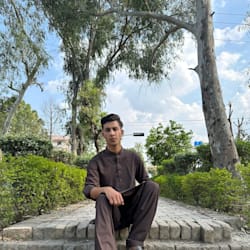 shahwaizmugh354