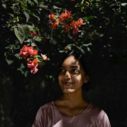 annlillyjose