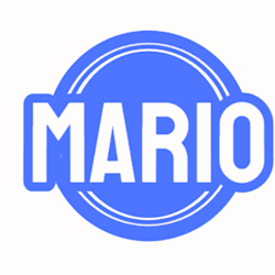 mario_1321
