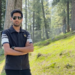 ali_425