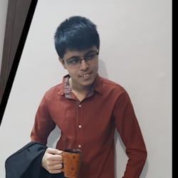 shayananees