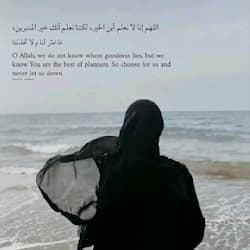 tazina_nowshin1