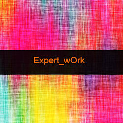 expertwork249