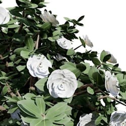 goncaloestrela